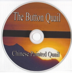 Chinese Painted Quail (Button Quail) CD by Leland Hayes